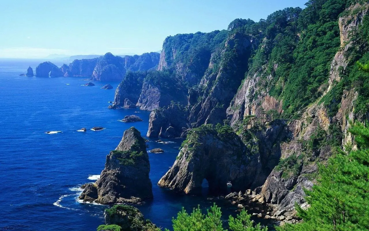节能高标准全自动